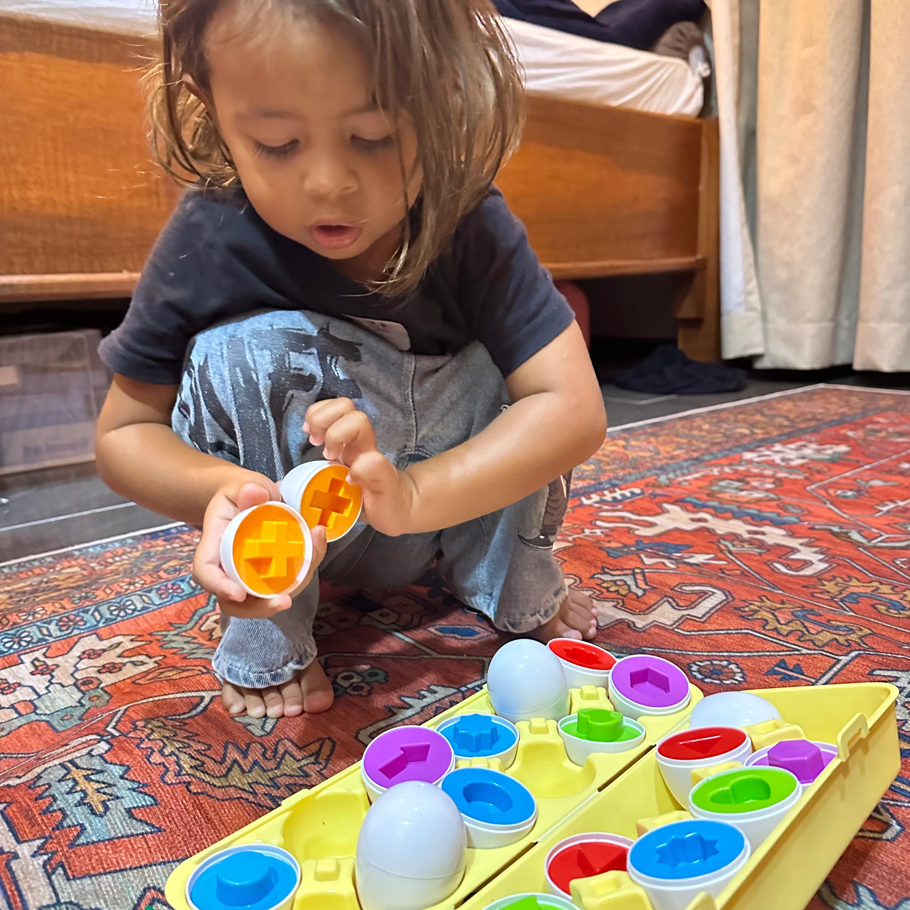 Montessori Geometric Eggs